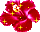 flower (182).g